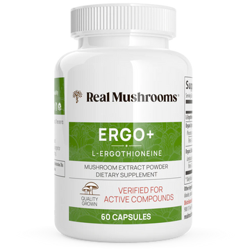 Ergo+ L- Ergothioneine Supplement – Premium antioxidant support sourced from golden oyster mushrooms. Vegan, Non-GMO, gluten-free, and third-party tested for quality.