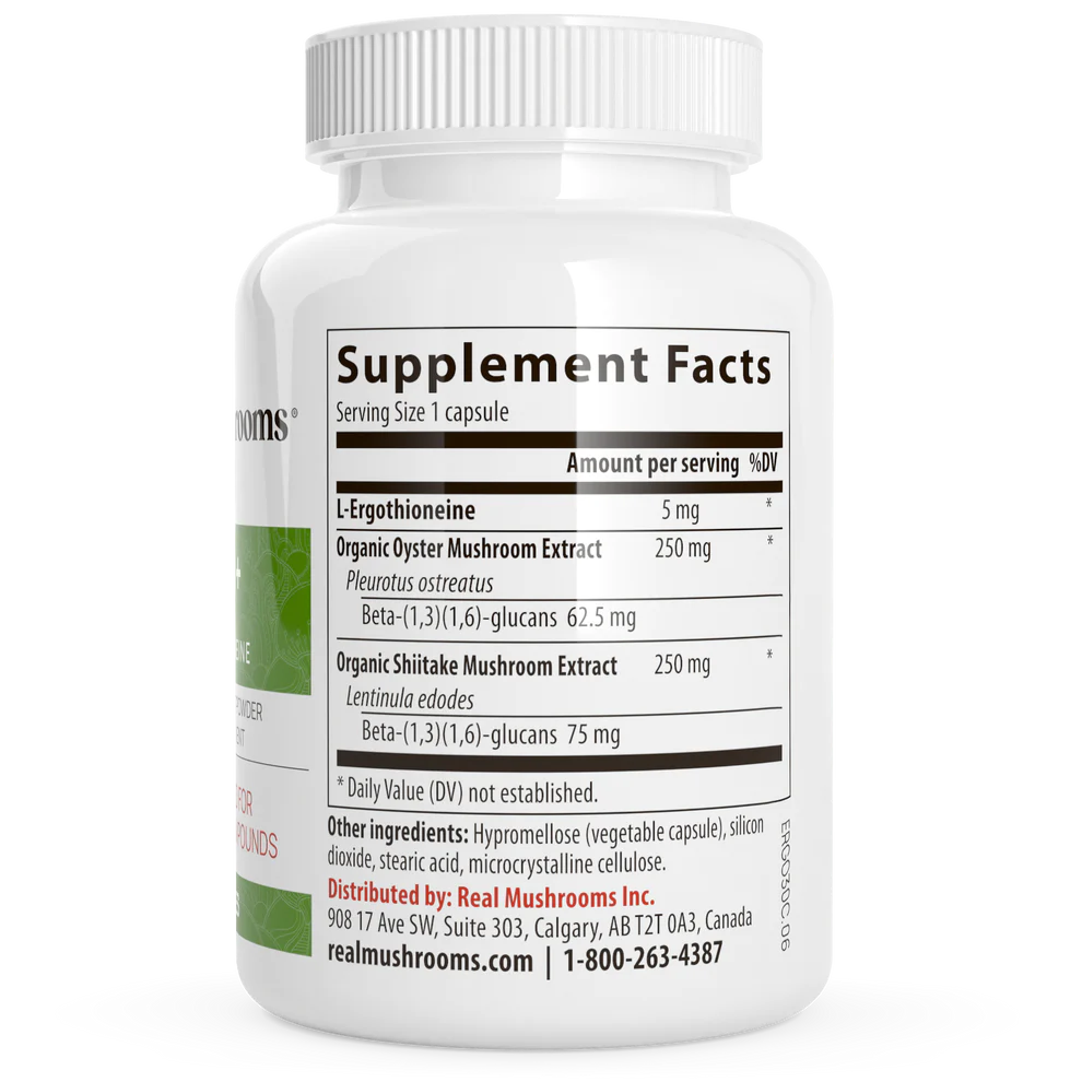 Ergo+ L- Ergothioneine Supplement – Premium antioxidant support sourced from golden oyster mushrooms. Vegan, Non-GMO, gluten-free, and third-party tested for quality.