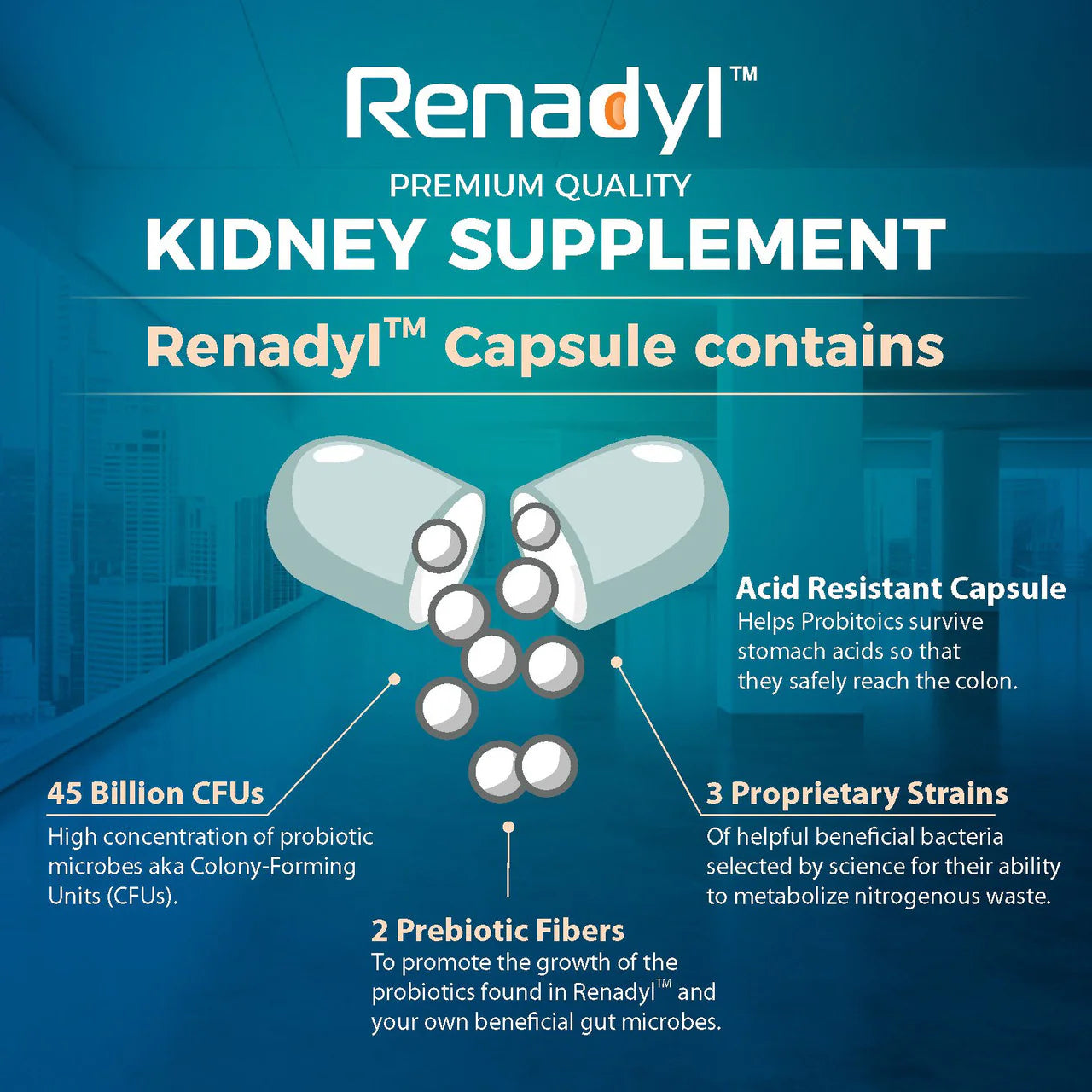 Renadyl™ - Kidney Health Supplement 60 capsules - Needs Refrigeration