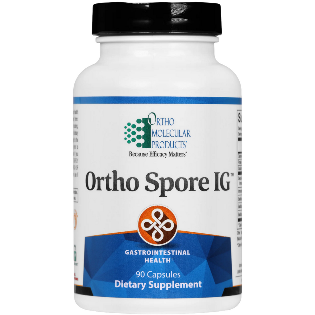 Ortho Spore IG™ probiotic supplement, a broad-spectrum formula designed to support gut health, SIBO relief, and mucosal immunity with serum-derived bovine immunoglobulins.