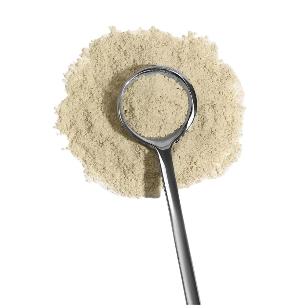 NOVOS Core anti-aging supplement powder with 12 longevity ingredients designed to target the root causes of aging for improved energy, skin, mood, and cognition.