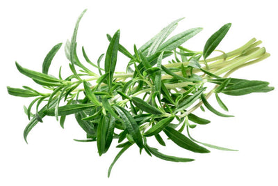 Summer Savory